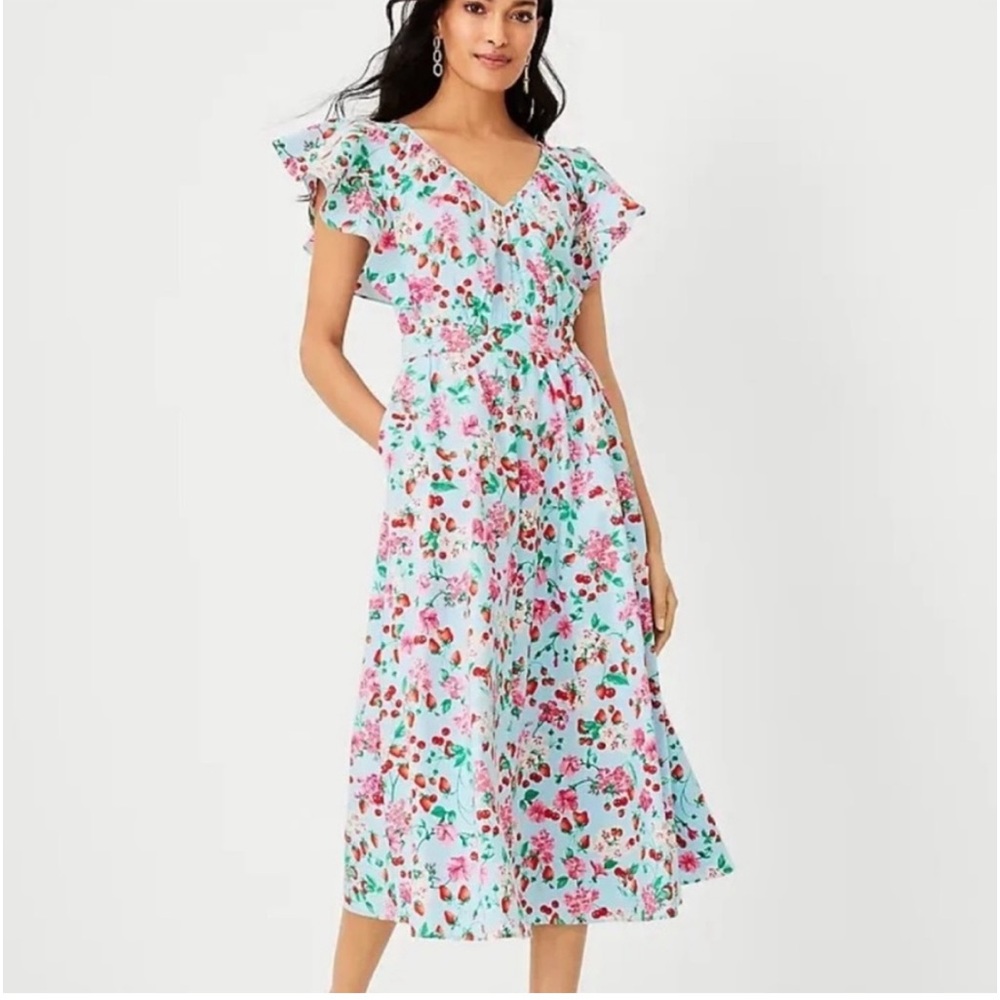 Ann Taylor strawberry midi dress NWT size 10